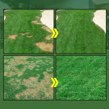 🔥Last Day 83% OFF🌱Hydro Seeding Lawn Solution