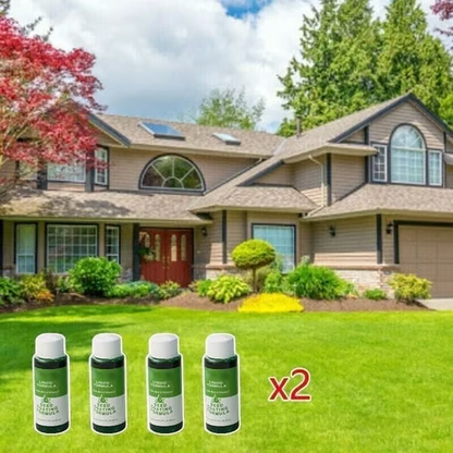 🔥Last Day 83% OFF🌱Hydro Seeding Lawn Solution