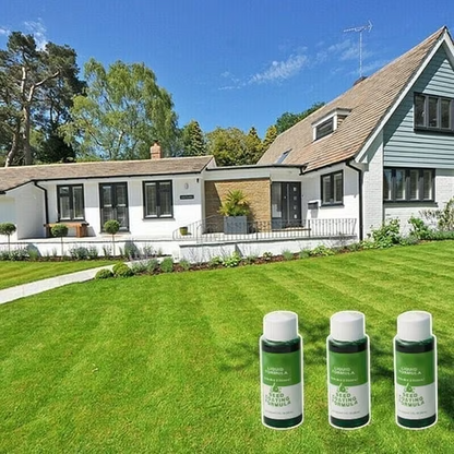 🔥Last Day 83% OFF🌱Hydro Seeding Lawn Solution