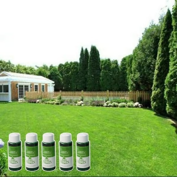 🔥Last Day 83% OFF🌱Hydro Seeding Lawn Solution