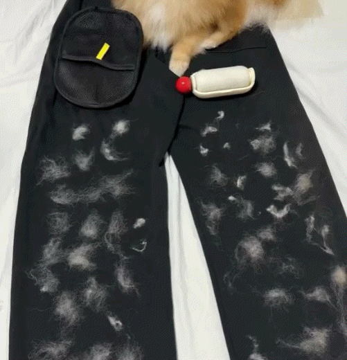 Buy 1 Get 1 Free🔥NESLEMY™ Electrostatic Pet Hair Removal Grooming Gloves